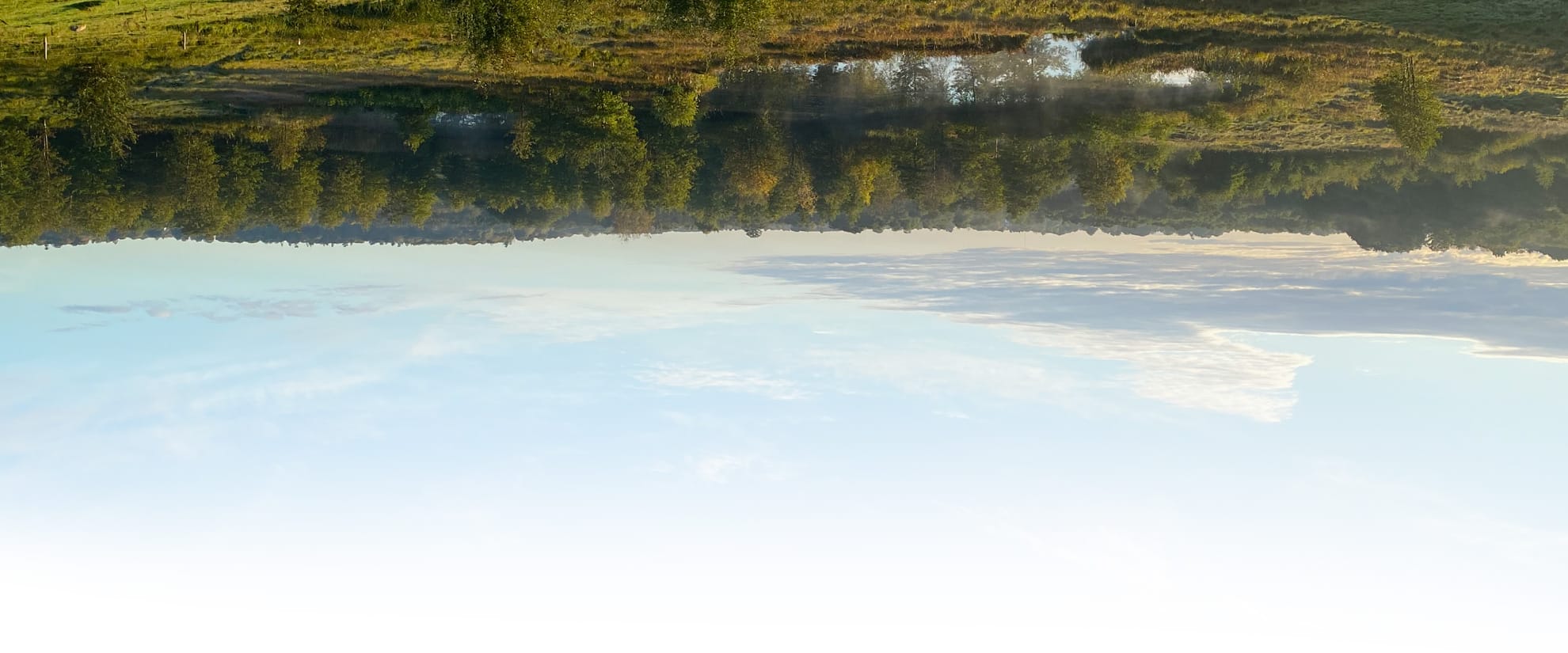 Strategic Partners Sustainable Projects